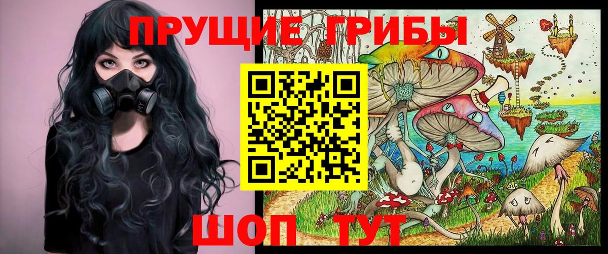 Чапаевск  Галлюциногенные грибы Psilocybe  Вход с VPN 